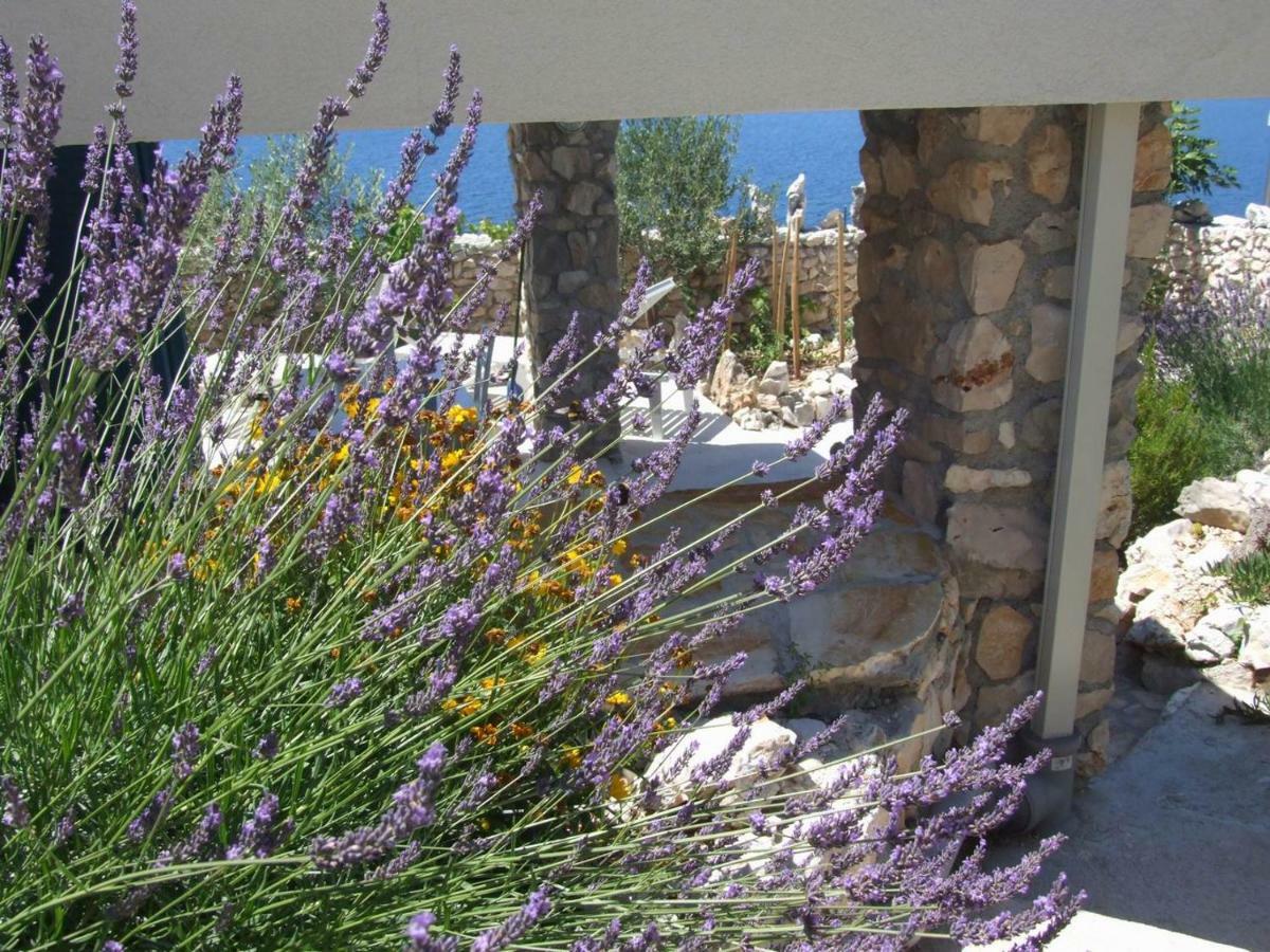 Stone House Marina-Sevid, 1 House-1 Apartment Esterno foto