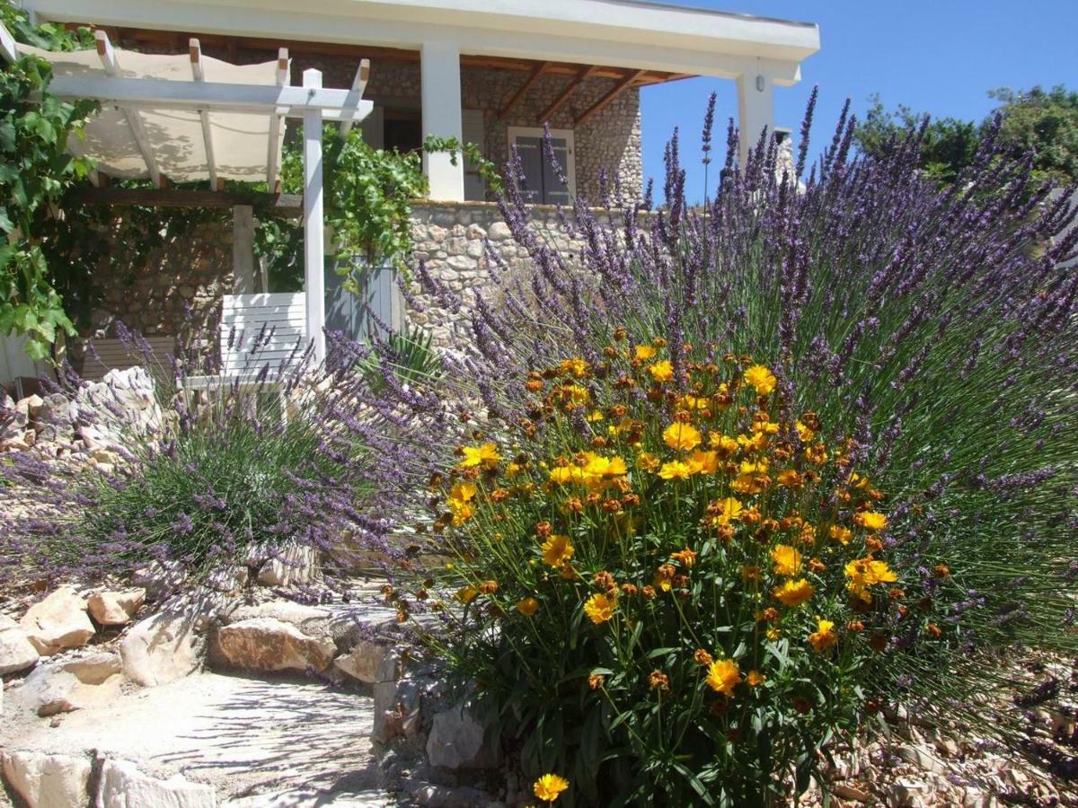 Stone House Marina-Sevid, 1 House-1 Apartment Esterno foto